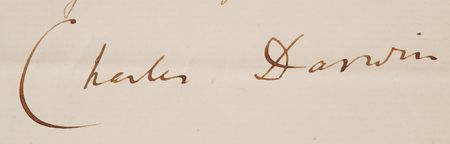 Lot #4013 Charles Darwin Letter Signed: 