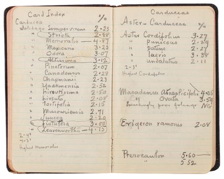 Lot #4048 Thomas Edison's Handwritten Experimental Notebook - 130 Pages on the Development of Domestic Rubber - Image 12