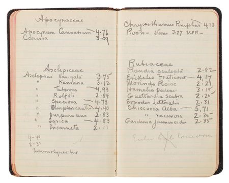 Lot #4048 Thomas Edison's Handwritten Experimental Notebook - 130 Pages on the Development of Domestic Rubber - Image 13