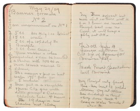 Lot #4048 Thomas Edison's Handwritten Experimental Notebook - 130 Pages on the Development of Domestic Rubber - Image 15