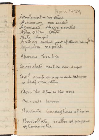 Lot #4048 Thomas Edison's Handwritten Experimental Notebook - 130 Pages on the Development of Domestic Rubber - Image 2