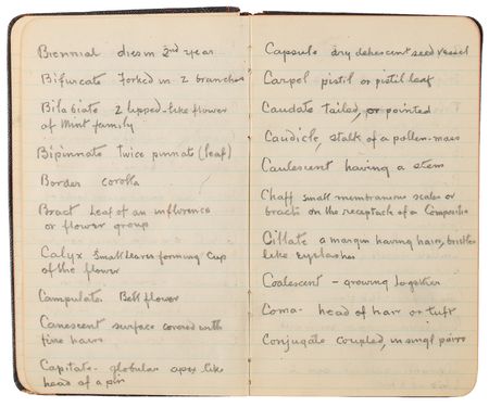 Lot #4048 Thomas Edison's Handwritten Experimental Notebook - 130 Pages on the Development of Domestic Rubber - Image 3