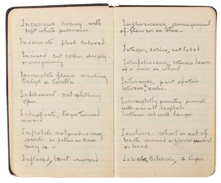 Lot #4048 Thomas Edison's Handwritten Experimental Notebook - 130 Pages on the Development of Domestic Rubber - Image 4