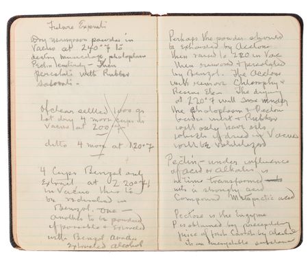 Lot #4048 Thomas Edison's Handwritten Experimental Notebook - 130 Pages on the Development of Domestic Rubber - Image 6