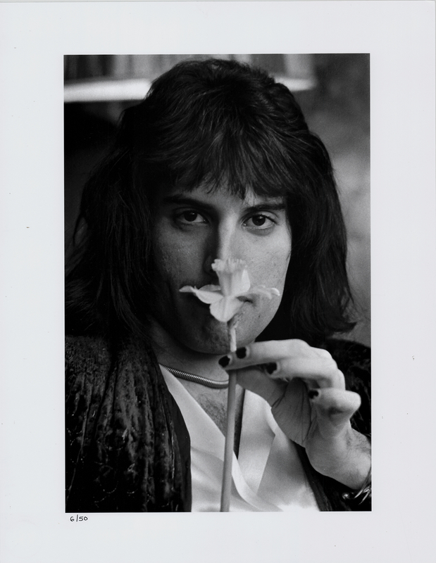 Lot 610 Freddie Mercury Oversized Photograph by Laurens Van Houten - 'Daffodil' (Ltd. Ed. #6/50)