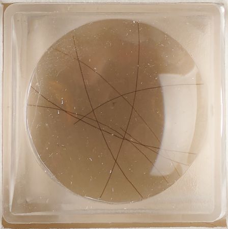 Lot #14 Abraham and Mary Todd Lincoln Hair Relic Display - Image 2