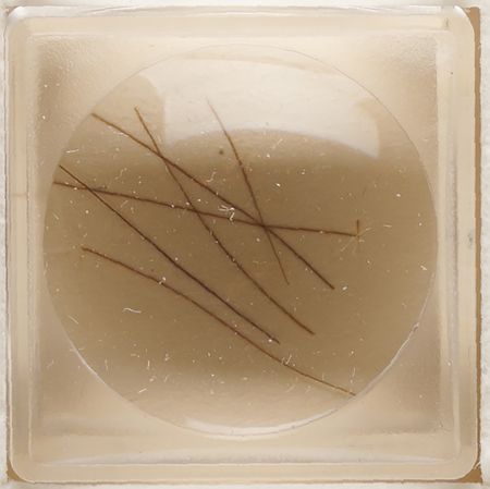 Lot #14 Abraham and Mary Todd Lincoln Hair Relic Display - Image 3