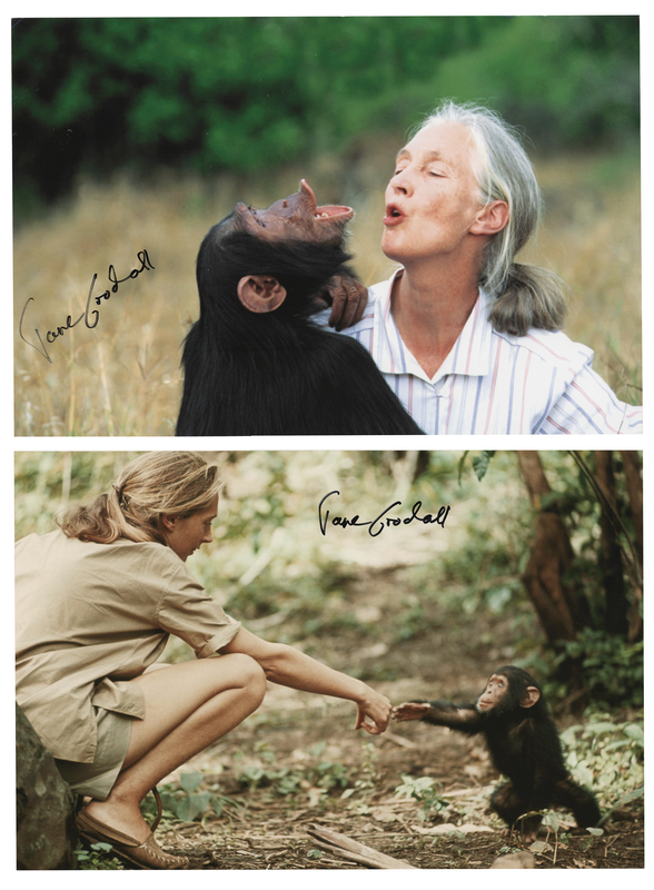 Lot 222 Jane Goodall (2) Signed Photographs