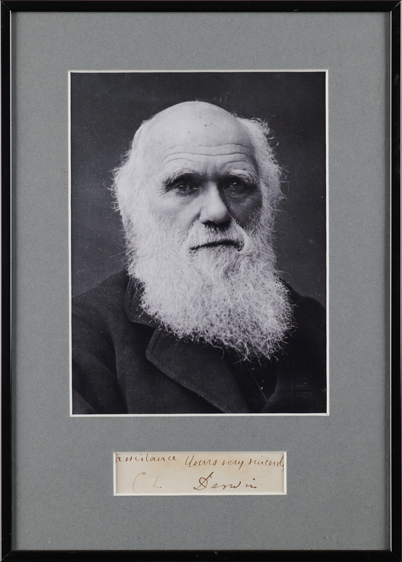 Lot 246 Charles Darwin Signature