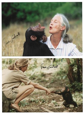 Lot #222 Jane Goodall (2) Signed Photographs
