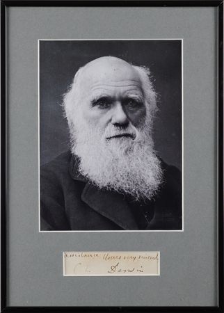 Lot #246 Charles Darwin Signature