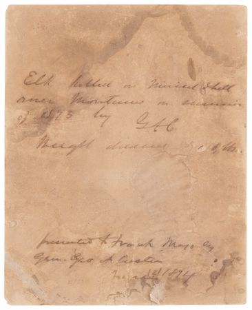 Lot #6027 George A. Custer Signed Photograph of a Prize Elk from the Yellowstone Expedition of 1873 - Image 3