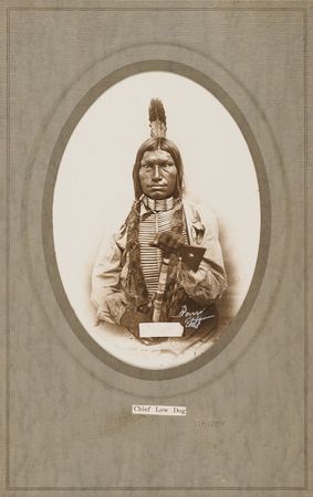 Lot #6077 Low Dog Original Photograph by D. F. Barry - Image 1