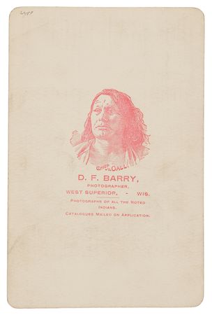 Lot #6081 Goose Cabinet Photograph by D. F. Barry - Custer's Arikara Scout - Image 2
