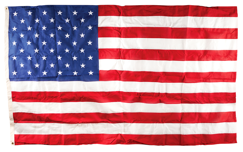 Lot 197 Donald Trump 2025 U.S. Capitol-Flown Inauguration Flag
