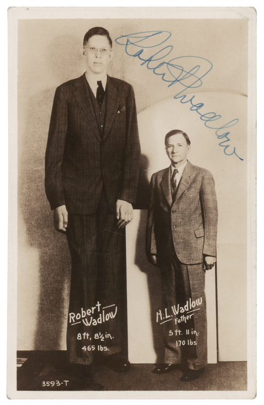 Lot 459 Robert Wadlow Signed Photograph