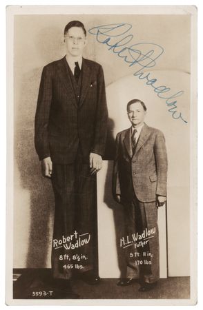 Lot #459 Robert Wadlow Signed Photograph - Image 1