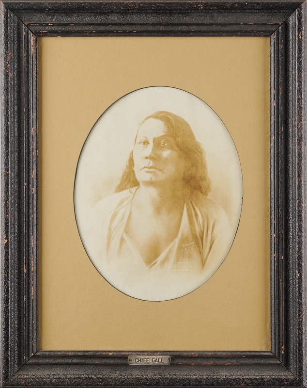 Lot 200 Chief Gall Original Photograph by D. F. Barry - 