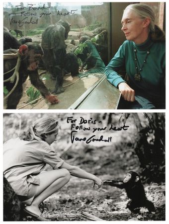 Lot #168 Jane Goodall (2) Signed Photographs