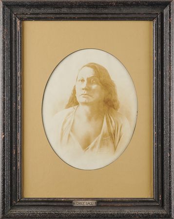 Lot #200 Chief Gall Original Photograph by D. F.
