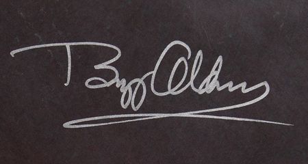 Lot #270 Buzz Aldrin Signed Apollo 11 Poster (Ltd. Ed. #1201/1969) - 21˝ x 33˝ - Image 2