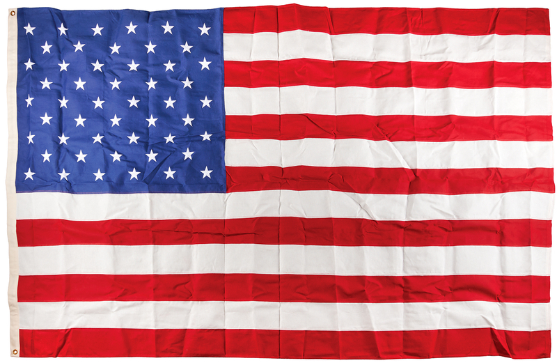 Lot 135 Donald Trump 2025 U.S. Capitol-Flown Inauguration Flag