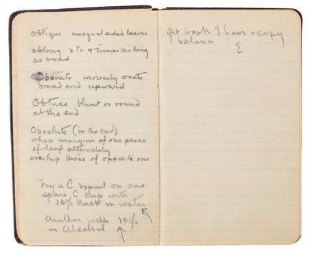 Lot #806 Thomas Edison's Handwritten Experimental Notebook - 130 Pages on the Development of Domestic Rubber - Image 5