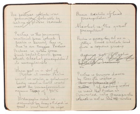 Lot #806 Thomas Edison's Handwritten Experimental Notebook - 130 Pages on the Development of Domestic Rubber - Image 7
