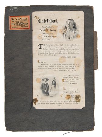 Lot #227 Chief Gall Original Photograph by D. F. Barry - 