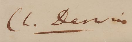 Lot #209 Charles Darwin Autograph Letter Signed to Mycologist Miles Joseph Berkeley on Seed Germination Experiments (1856) - Image 3