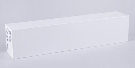 Lot #4107 Apple Watch Sport (1st Generation, Sealed - Aluminum, 42mm, 8GB) - Image 1