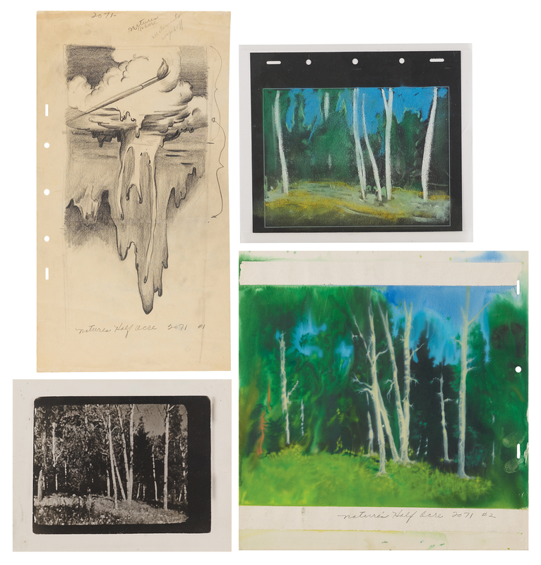 Lot 636 Nature's Half Acre group of (4) artwork and development material for Walt Disney's True-Life Adventures series