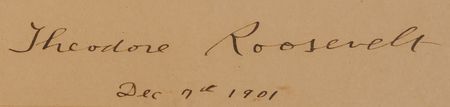 Lot #15 Theodore Roosevelt Signed Oversized Photograph as President - 34.25˝ x 38.75˝ - Image 2