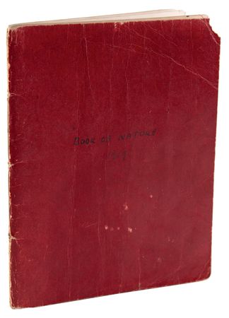 Lot #5084 Arthur Conan Doyle Handwritten Spiritualism Casebook - 40+ Pages on Mediums, Seances, and Automatic Writing - Image 9