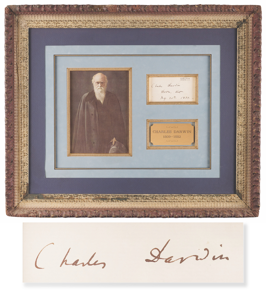 Lot 268 Charles Darwin Signature - 