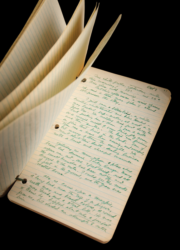 Lot 529 Zane Grey Handwritten Manuscript - Notes from a 1919 Hunting Trip (100+ Pages) - Recording Grizzly Encounters and the Real-Life Adventures Behind His Western Fiction