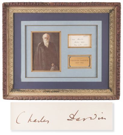 Lot #268 Charles Darwin Signature - Down, Kent,