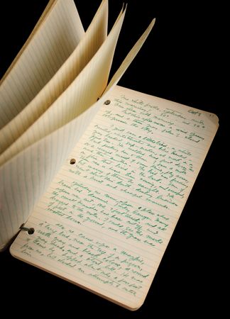 Lot #529 Zane Grey Handwritten Manuscript - Notes