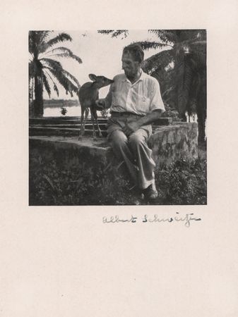 Lot #247 Albert Schweitzer Signed Photograph