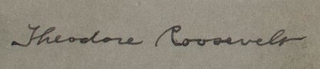 Lot #105 Theodore Roosevelt Signed Photograph - Image 2