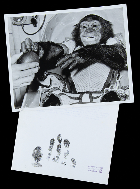 Lot 6032 Ham the Chimpanzee (2) NASA Photographs with Ink Hand Impressions Taken After His Mercury-Redstone 2 Mission