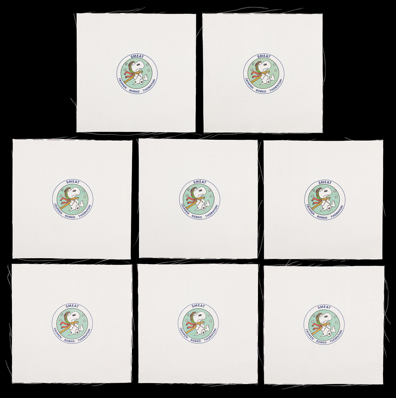 Lot 6370 Skylab Medical Experiment Altitude Test (SMEAT) Beta Patches (8) - From the Personal Collection of William E. Thornton