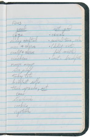 Lot #6390 Sally Ride's Pair of Handwritten STS-41-G Mission Diaries, with (100+) Pages of Preflight and Spaceflight Notes - Image 4