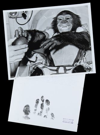 Lot #6032 Ham the Chimpanzee (2) NASA Photographs