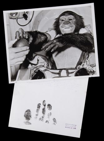 Lot #6032 Ham the Chimpanzee (2) NASA Photographs