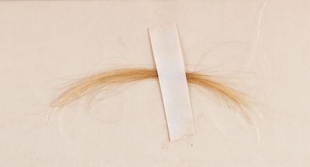 Lot #8075 Thomas Jefferson Lock of Hair (2.5˝ in length) - Originally Procured by His Personal Physician, Robley Dunglison - Image 3